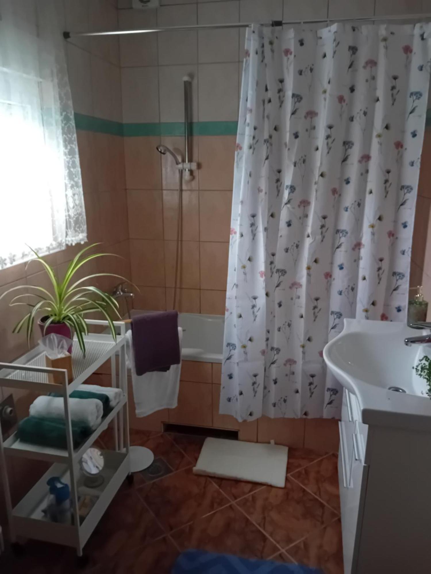 קרפינה Apartman Nada מראה חיצוני תמונה