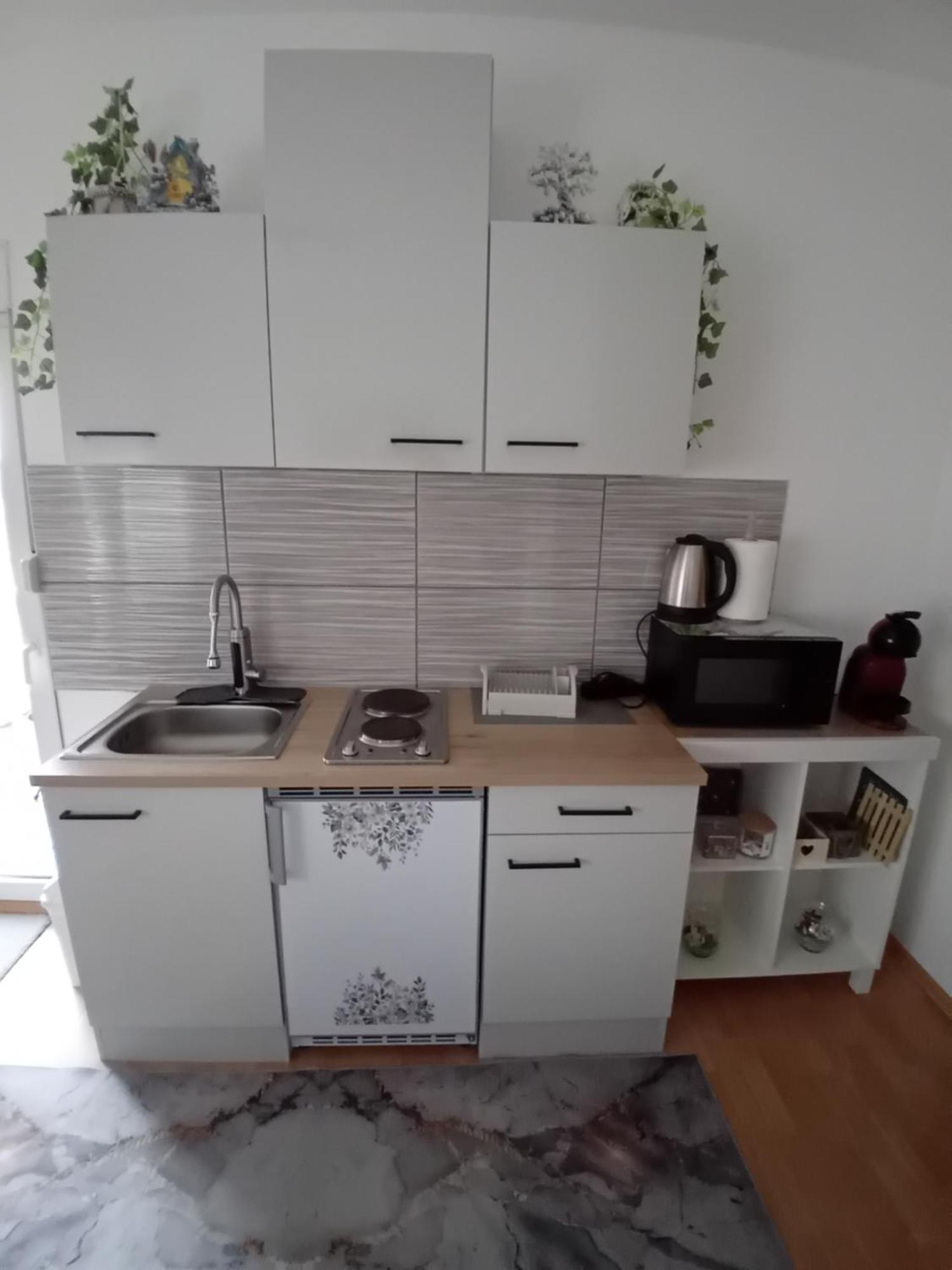 קרפינה Apartman Nada מראה חיצוני תמונה