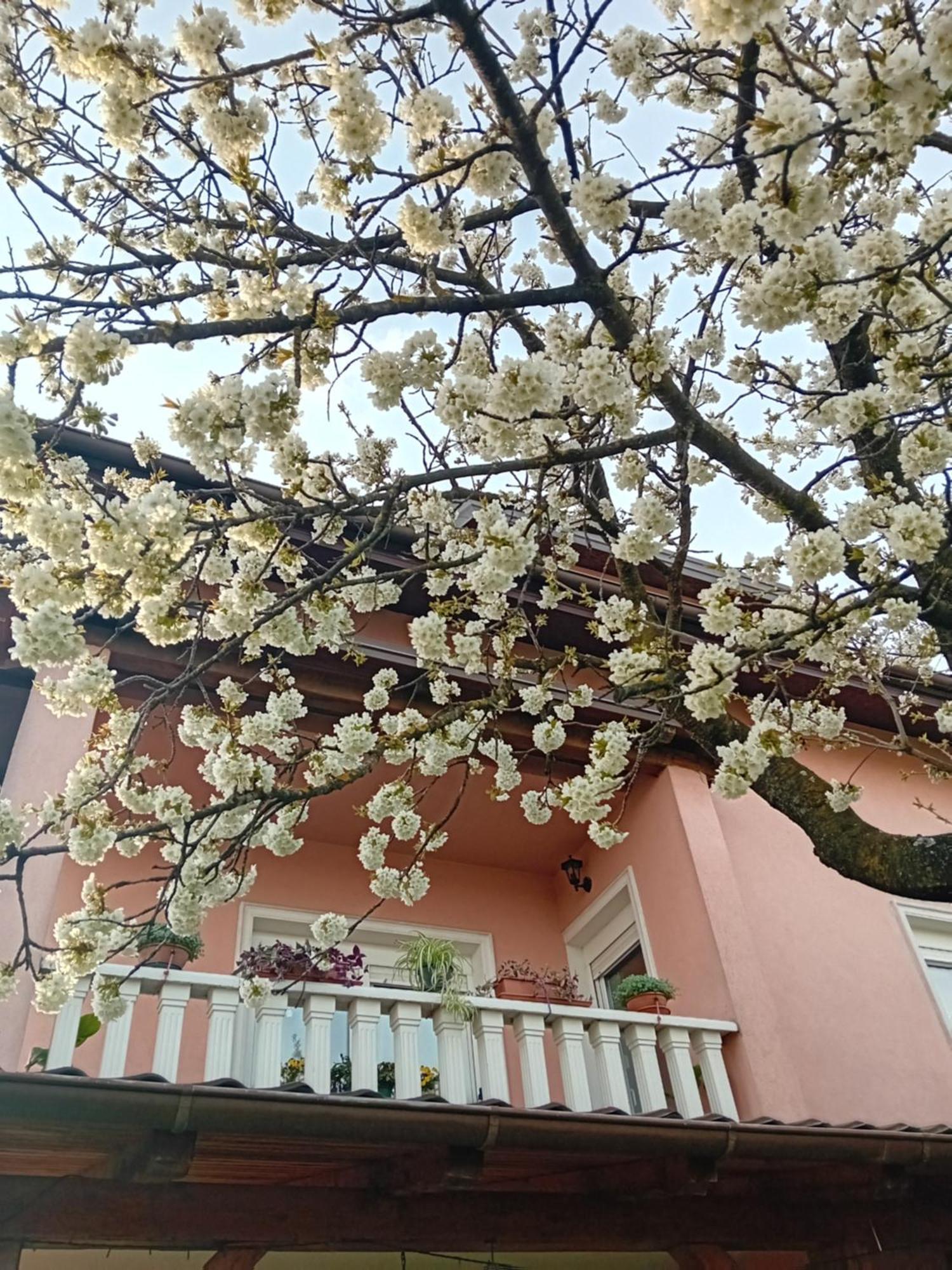 קרפינה Apartman Nada מראה חיצוני תמונה